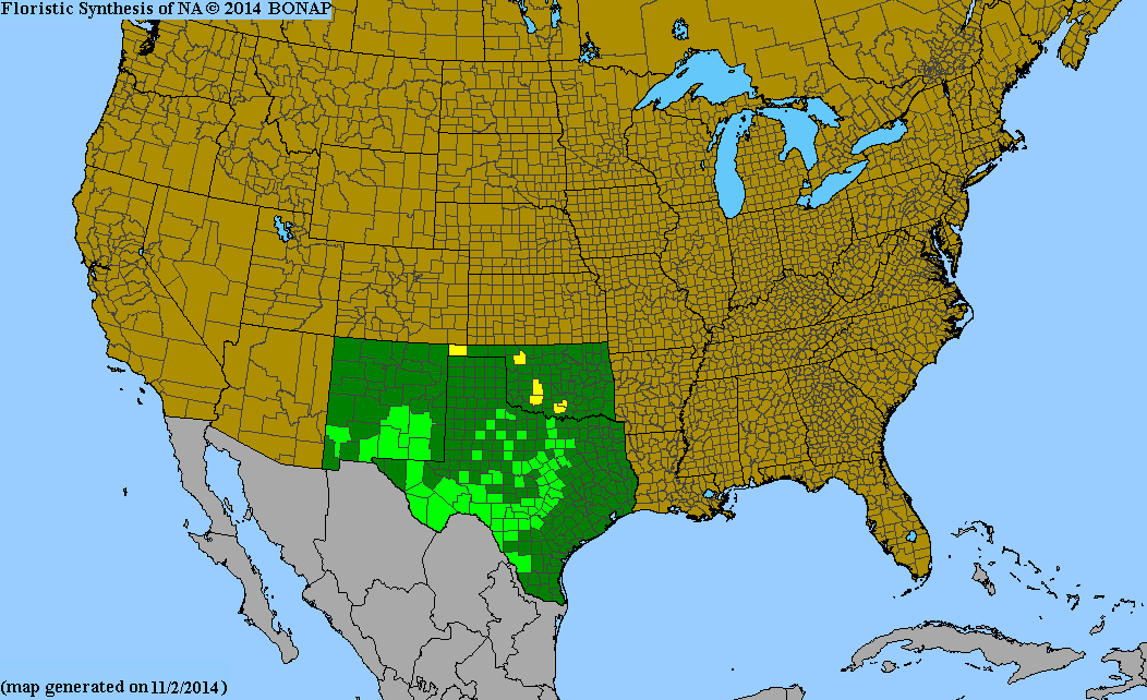 County distribution map of Dalea frutescens - Black Prairie-Clover